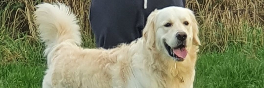 PottsSJ's profile banner image