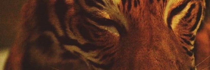 2Pr3tty_2b's profile banner image