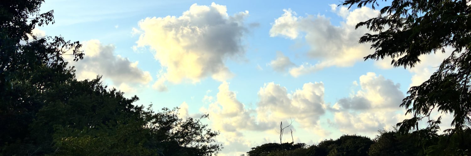 Miag_12's profile banner image