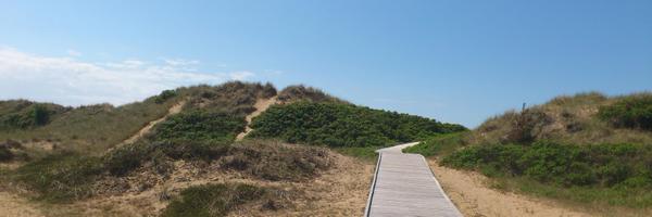 MarmingeEva Profile Banner