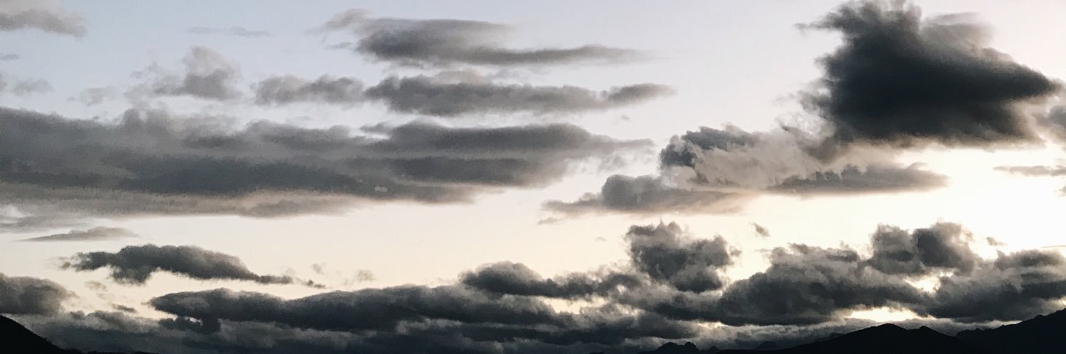 cuchofito's profile banner image