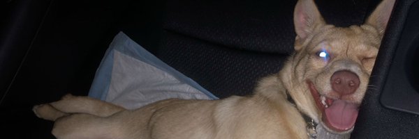jedd_why Profile Banner