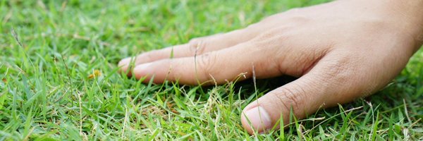 _80_HD_ Profile Banner