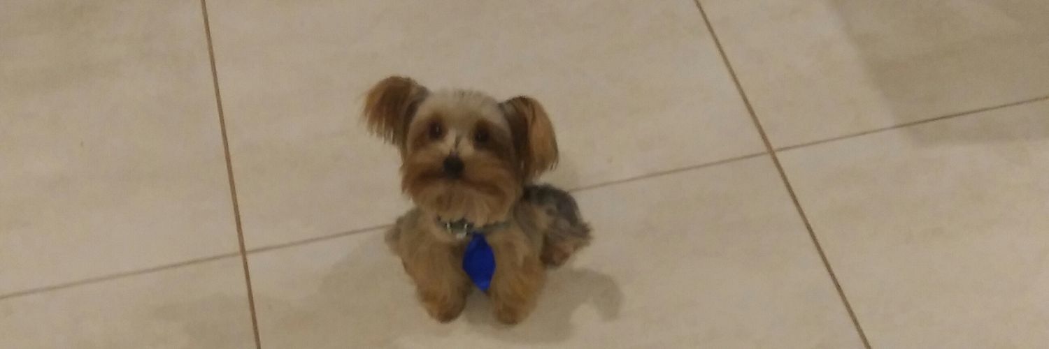 Jenny of Oldstones banner