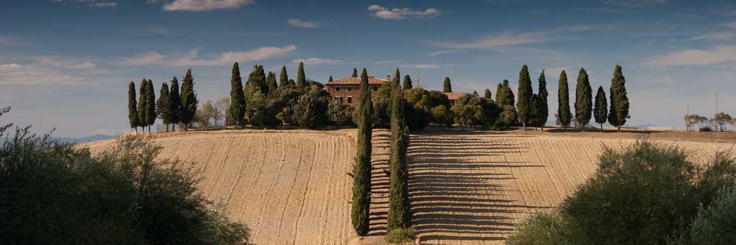 kendall mcculloch.g banner