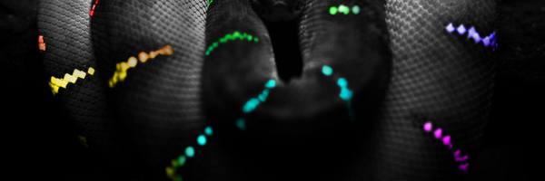 PythonCabalGdl Profile Banner