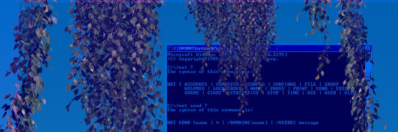 ѕтυdισ ωє & υѕ 🪺 banner