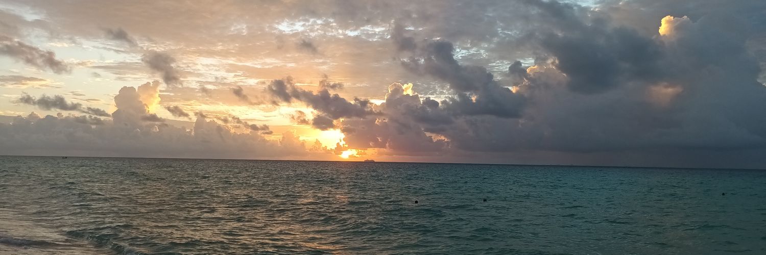 unweyerrante16's profile banner image