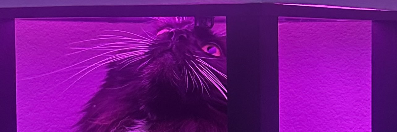 ballersaisons's profile banner image