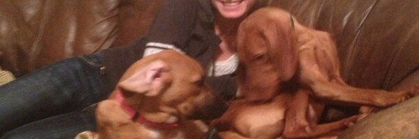 Ben_Wolgamot Profile Banner