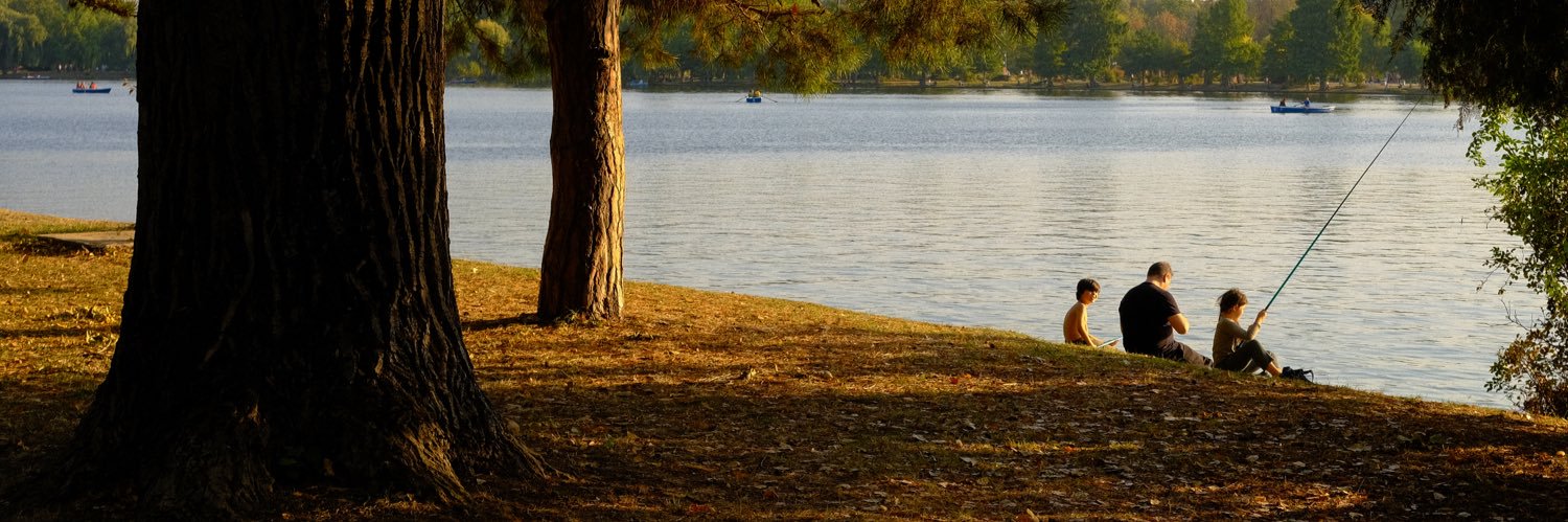 Andrei Popovici banner