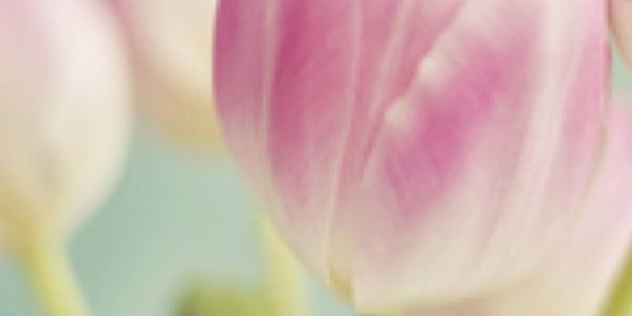 hamdabintahmad's profile banner image