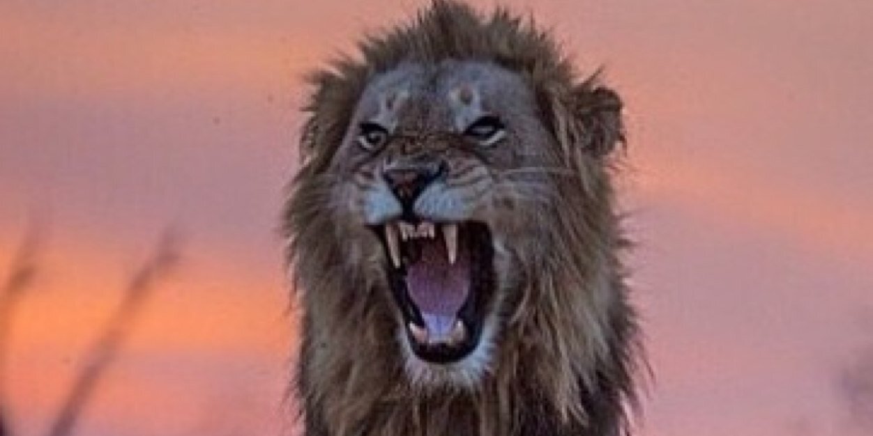 Syrettkyle95's profile banner image