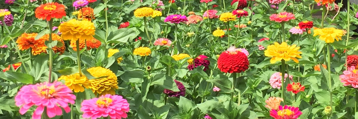 abbyhendrickson's profile banner image