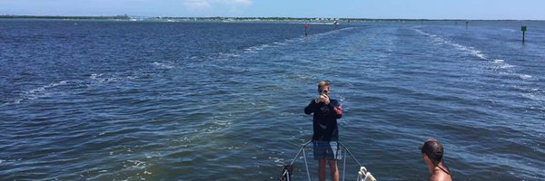 wsenti Profile Banner