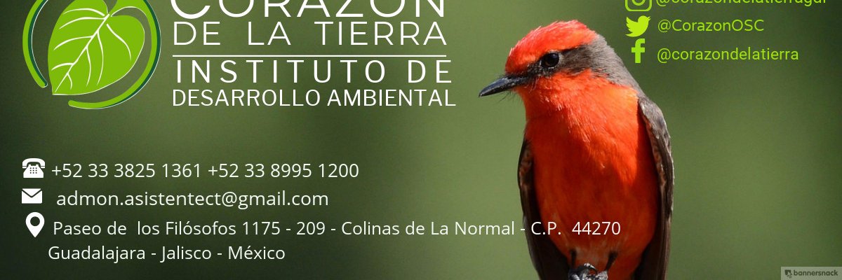 CorazonOSC's profile banner image