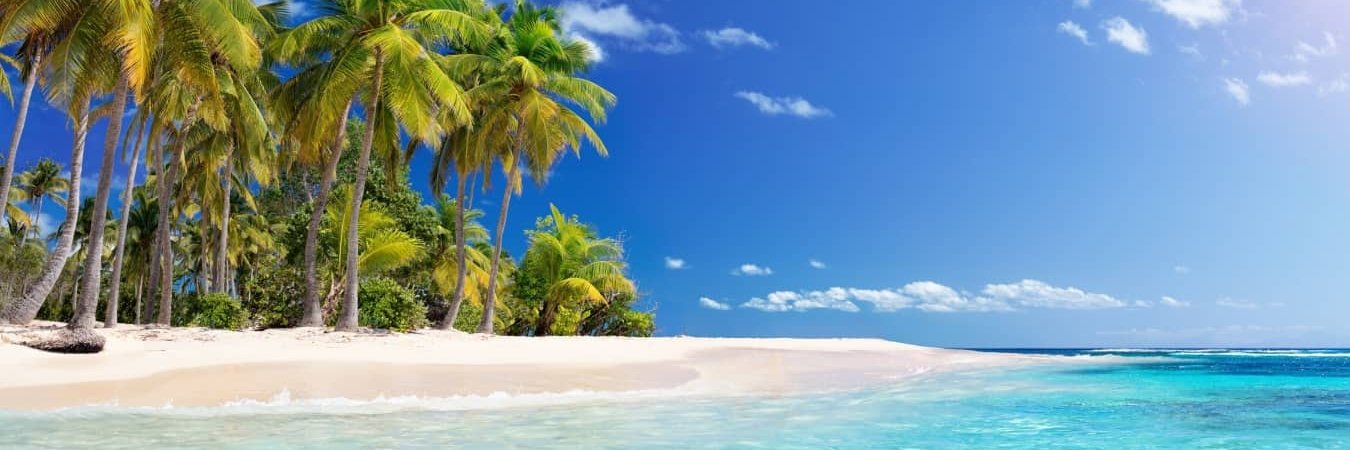 thedreadpiraterottenbeard banner