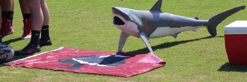 ssharks12's profile banner image