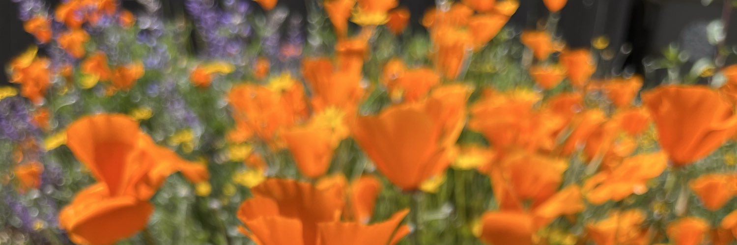everydayaligned's profile banner image