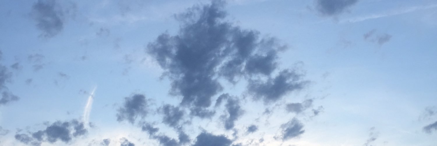 nachwalls_'s profile banner image