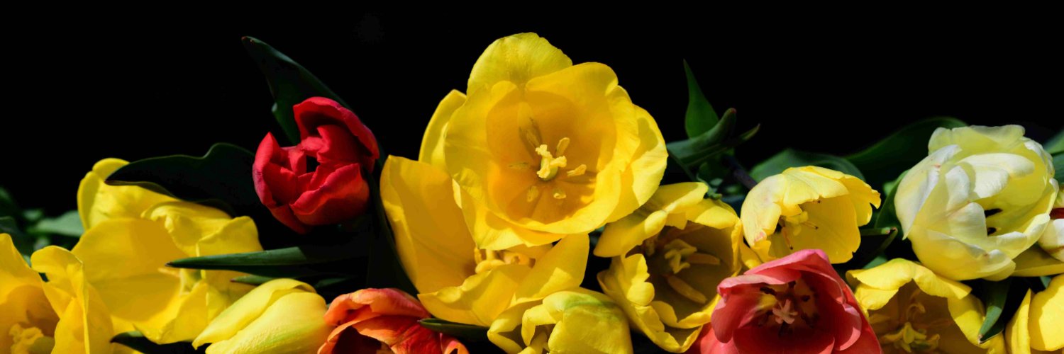 DemetriusS4293's profile banner image