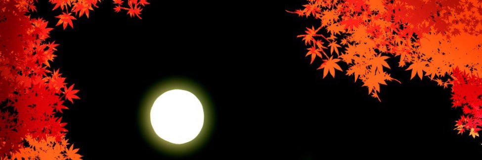 🌟 banner