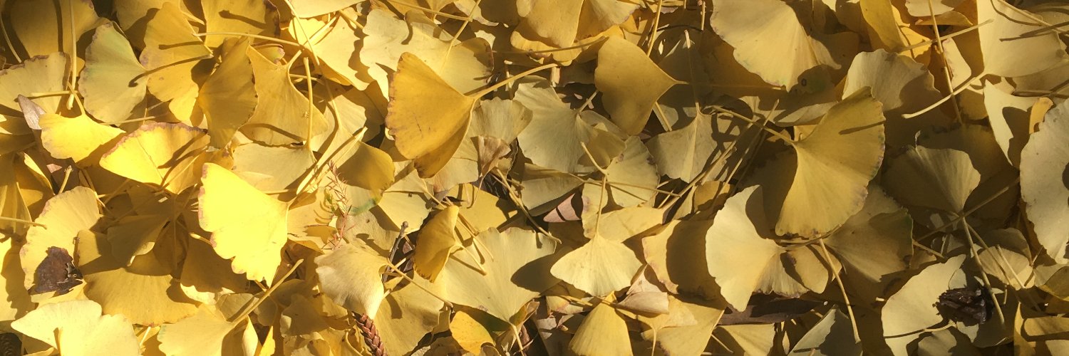rosasdulces's profile banner image