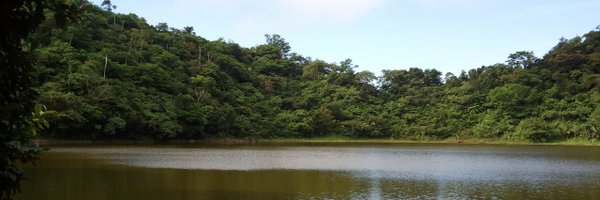 Ana_Prohaska Profile Banner