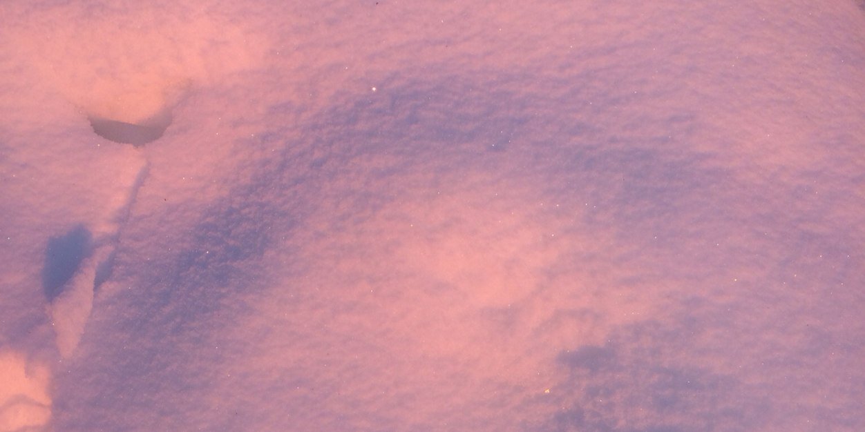 Good Trouble Guy 🇺🇦 🌻 banner