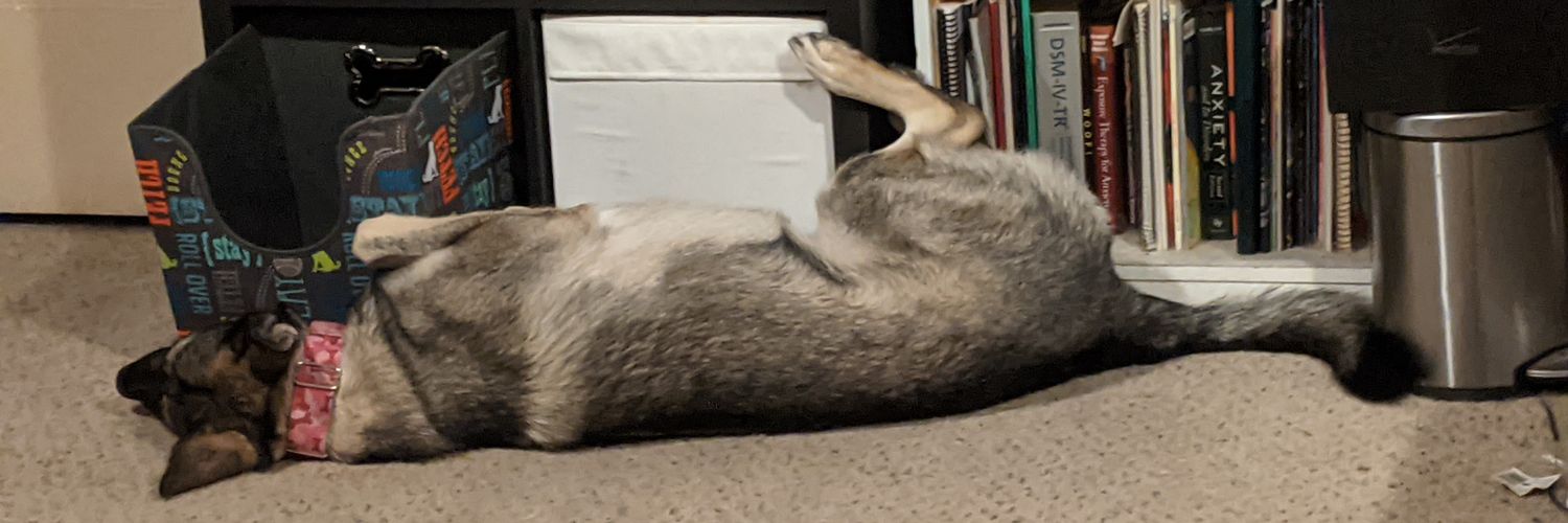 AugieDeer's profile banner image