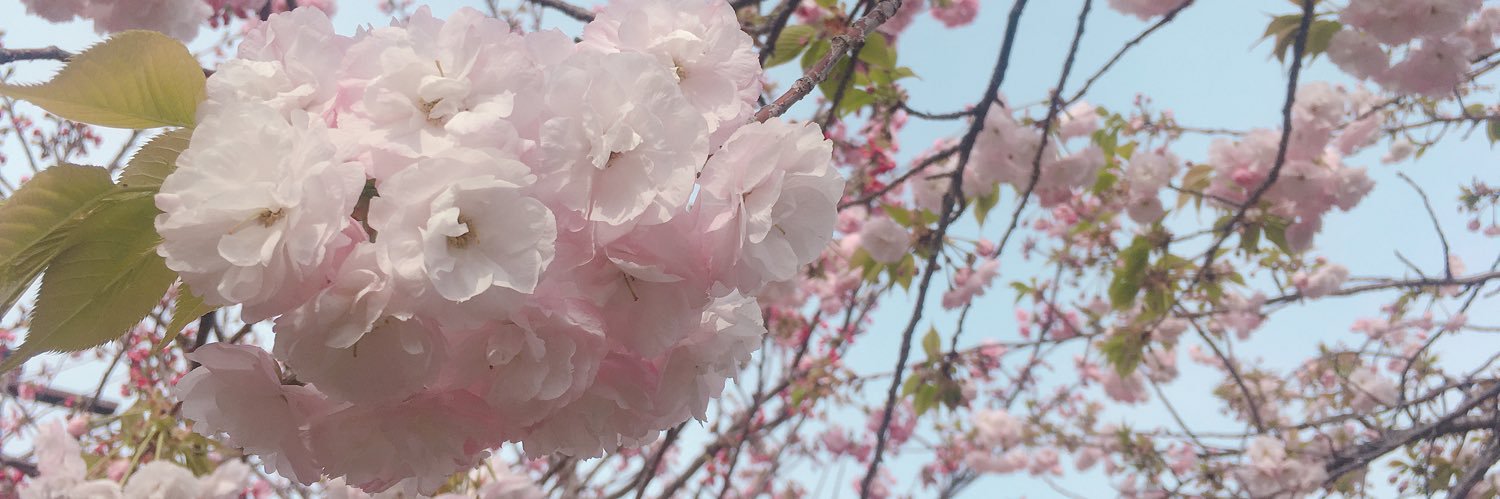 YURIKA83640407's profile banner image