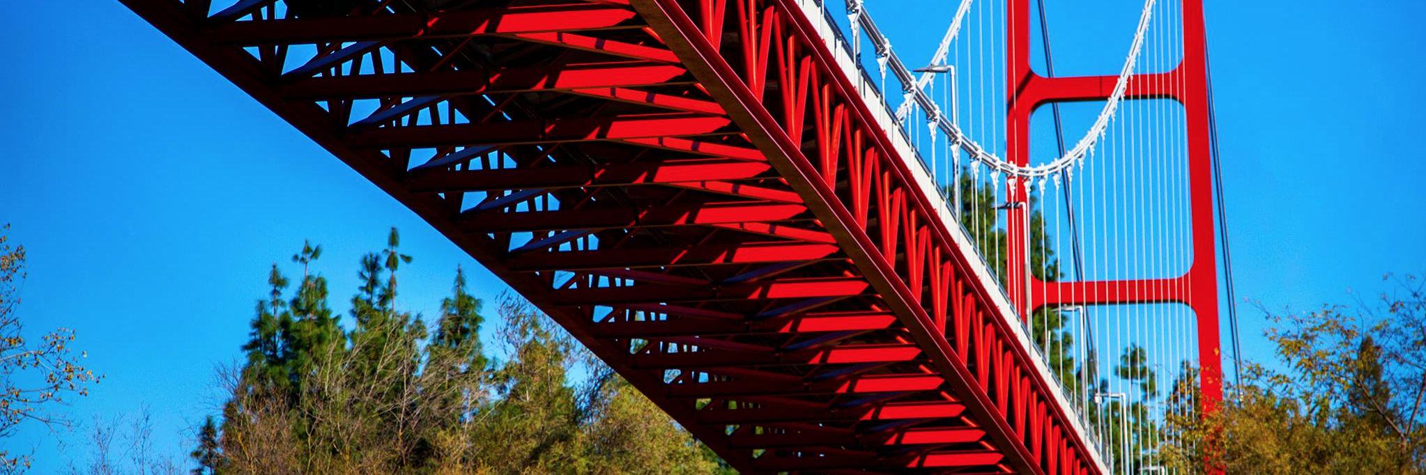 Timi Poeppelman banner