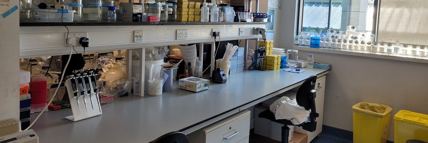 McEntee Lab TCD banner