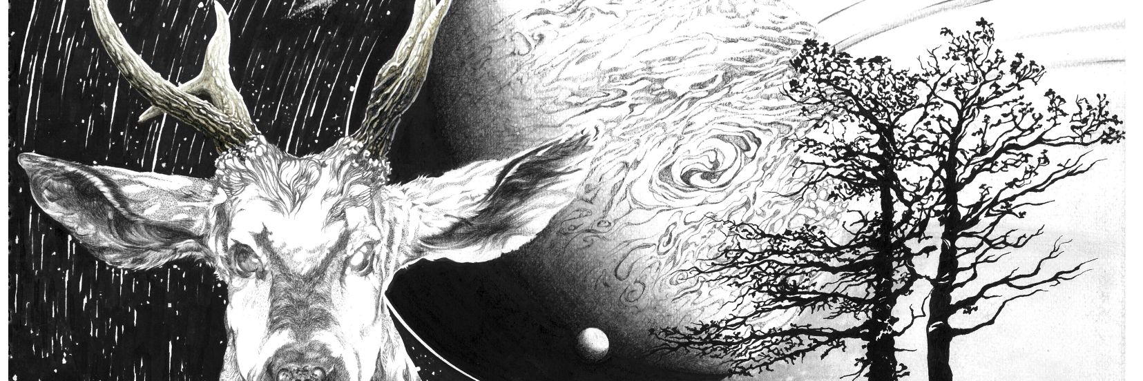 debajoperfil's profile banner image