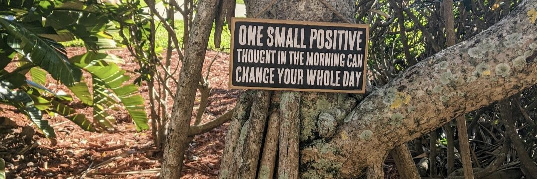 Jacqueline García banner