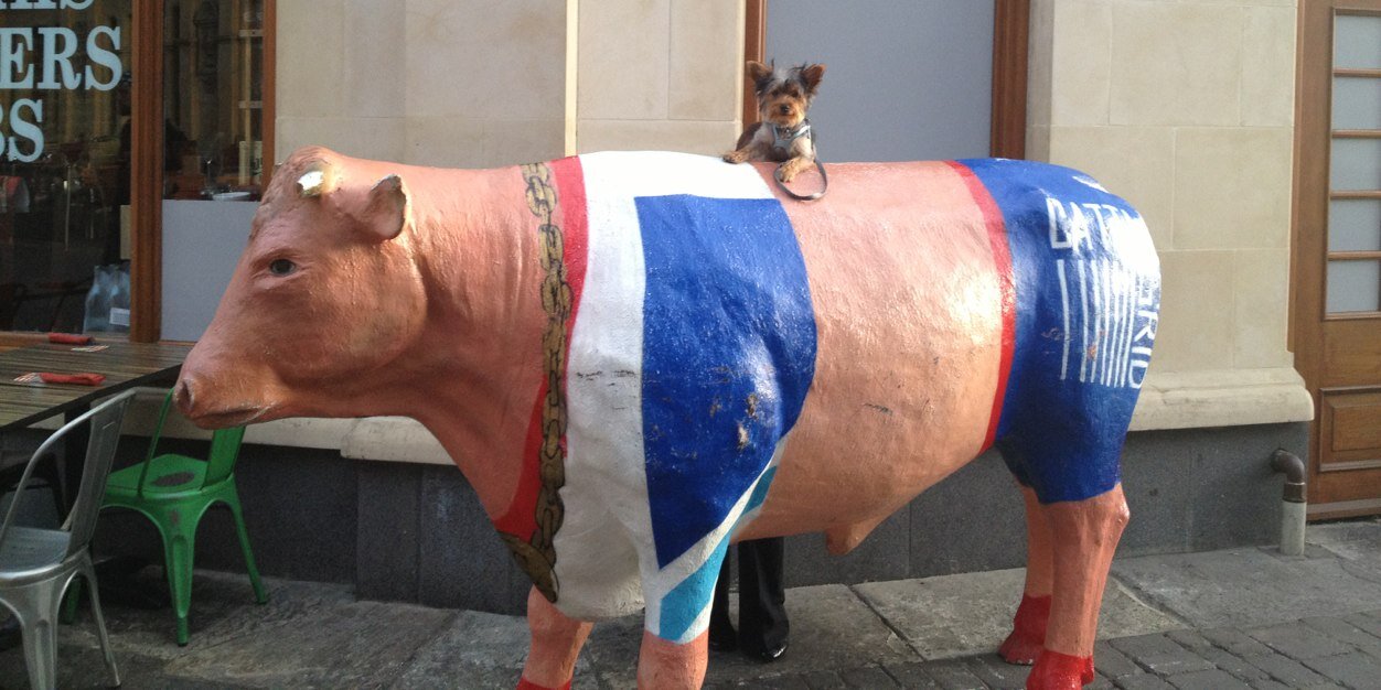 WilliamHTheDog's profile banner image
