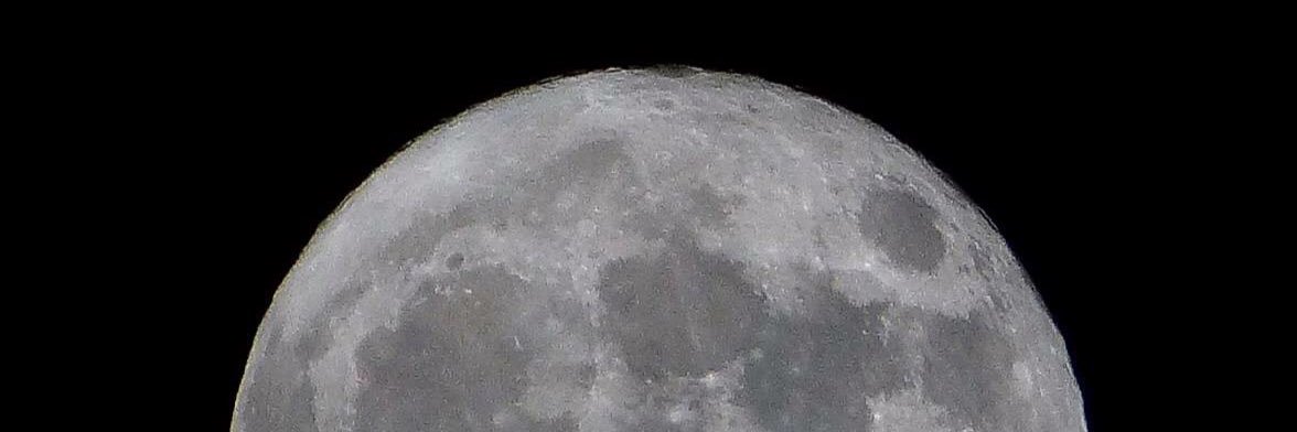 Dani Molina 🎗🔻 banner