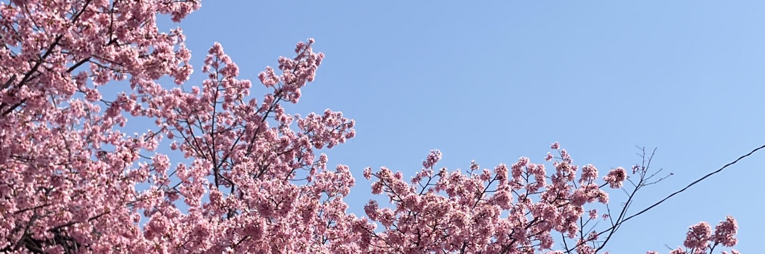 tcha_matu's profile banner image