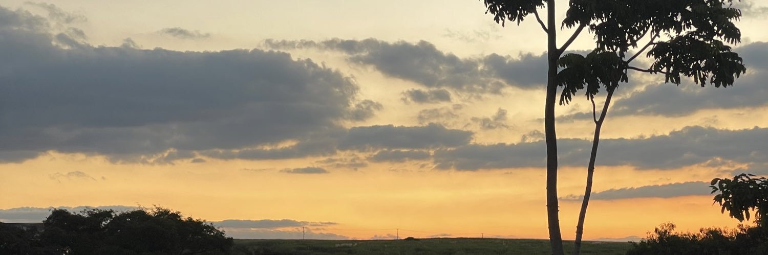 davisaobf's profile banner image