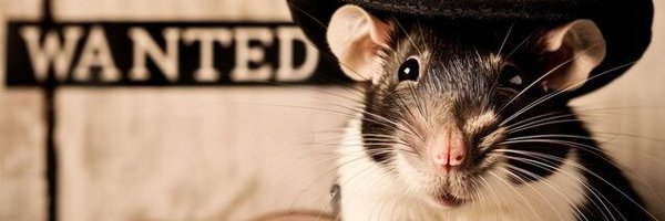 smooshysmushy Profile Banner