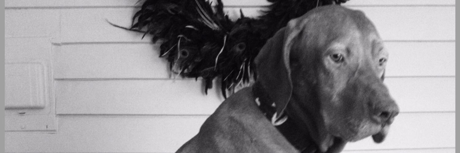 AllysonBenavids's profile banner image