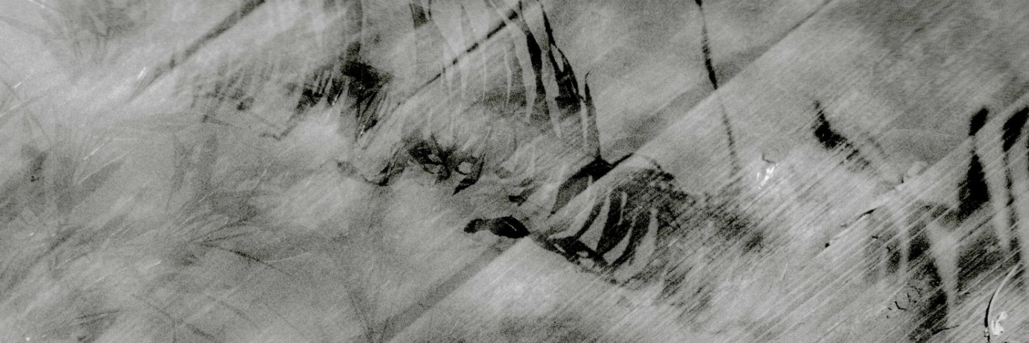 Milla Adia Lewis banner