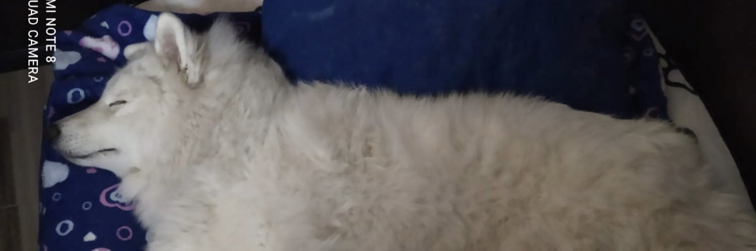 edymatew's profile banner image