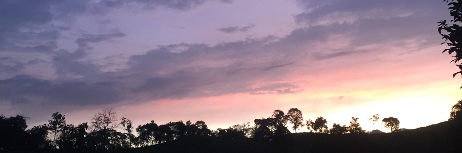 baquemary's profile banner image