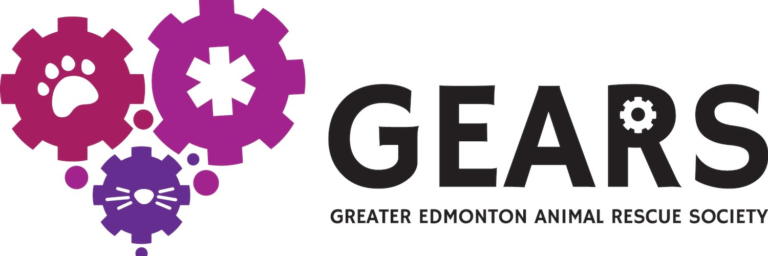 GEARescue's profile banner image