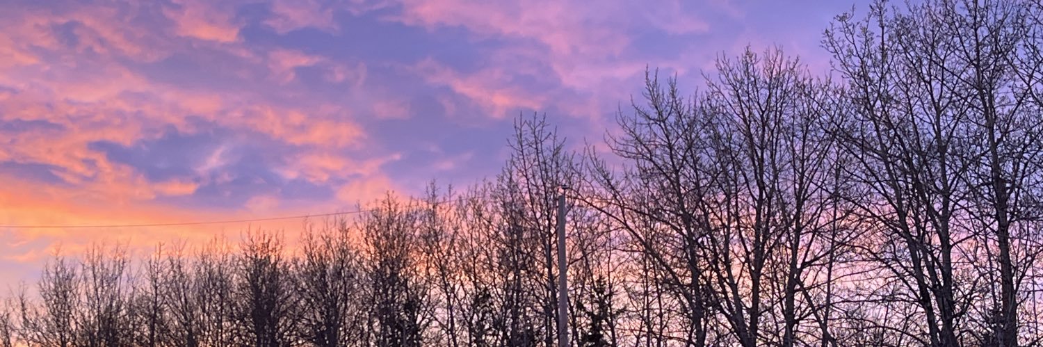 HRH Princess Myfanwy banner