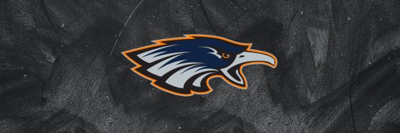 WP Swallows banner