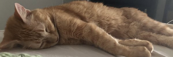 zulcanda Profile Banner