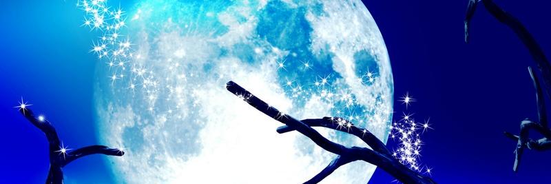 phoenixofmine's profile banner image