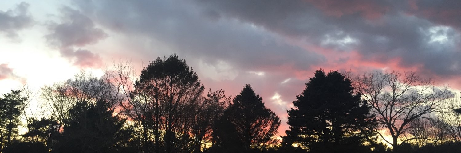bubba_141's profile banner image